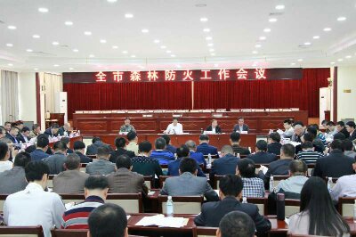 ��β�������ٿ�ȫ��ɭ�ַ���...